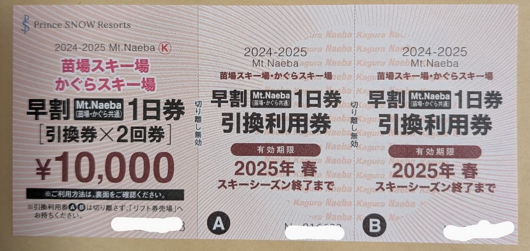 Mt.Naeba 早割1日券 引換券×2回