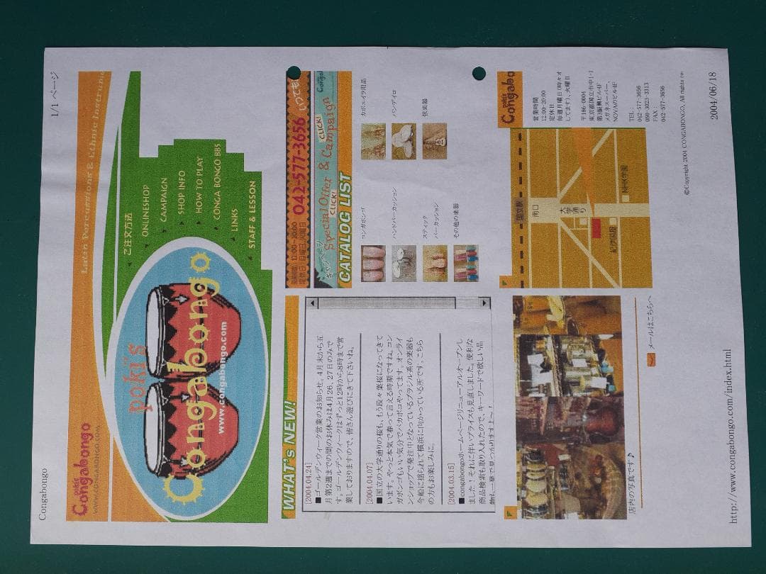 パンディロ シャローモデル ヤギ皮ヘッド 10インチ （重量約410ｇ）