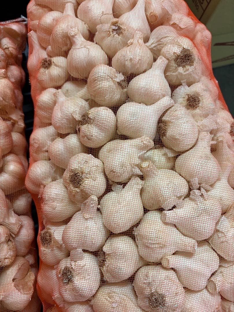 新物 青森県産 福地ホワイト六片 にんにく Ｍ １０ｋｇ