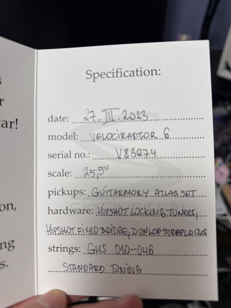 ギター Skervesen Velociraptor 6 2023