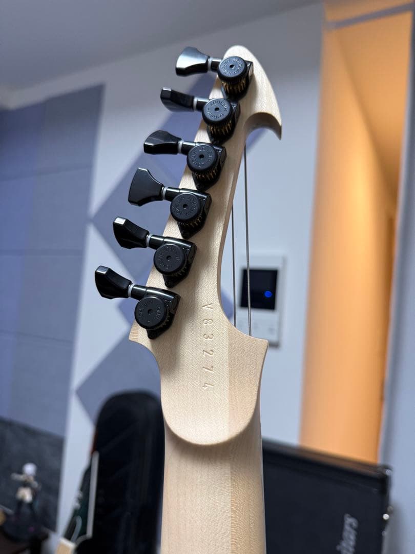 ギター Skervesen Velociraptor 6 2023