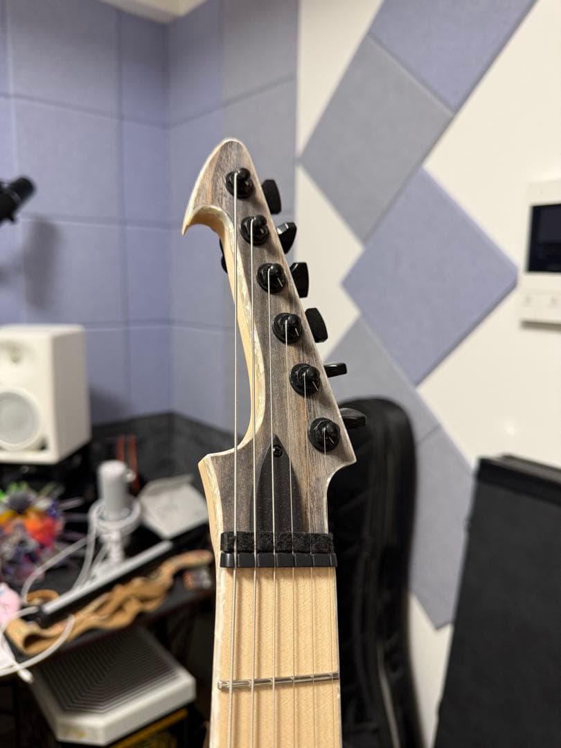 ギター Skervesen Velociraptor 6 2023