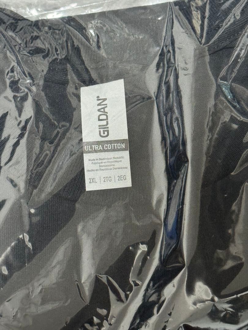 LOSTAGE 野音 Tシャツ 2XL サイズ グッズ バンド ロストエイジ