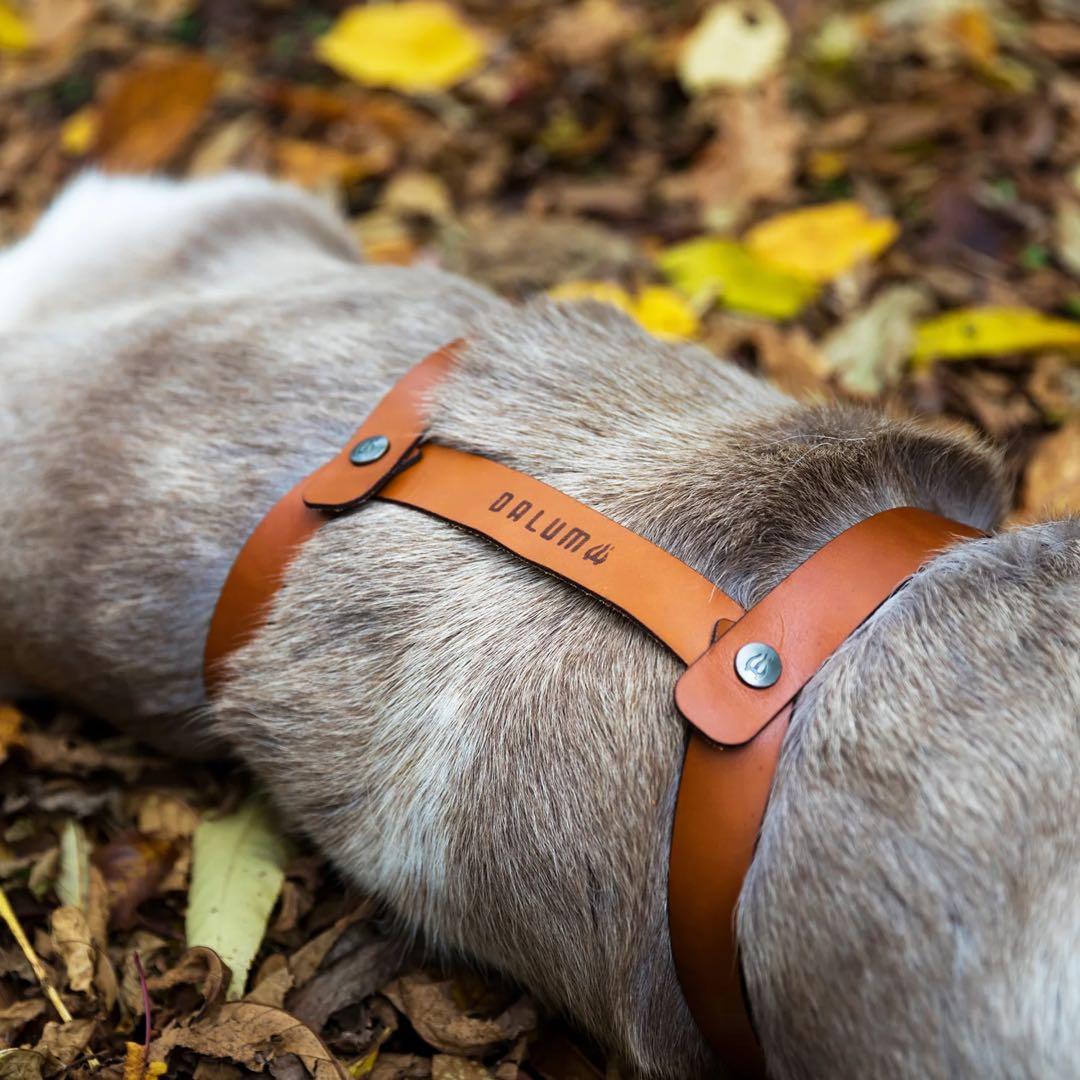 新品DALUM REINDEER FUR L ダーラム トナカイファー L