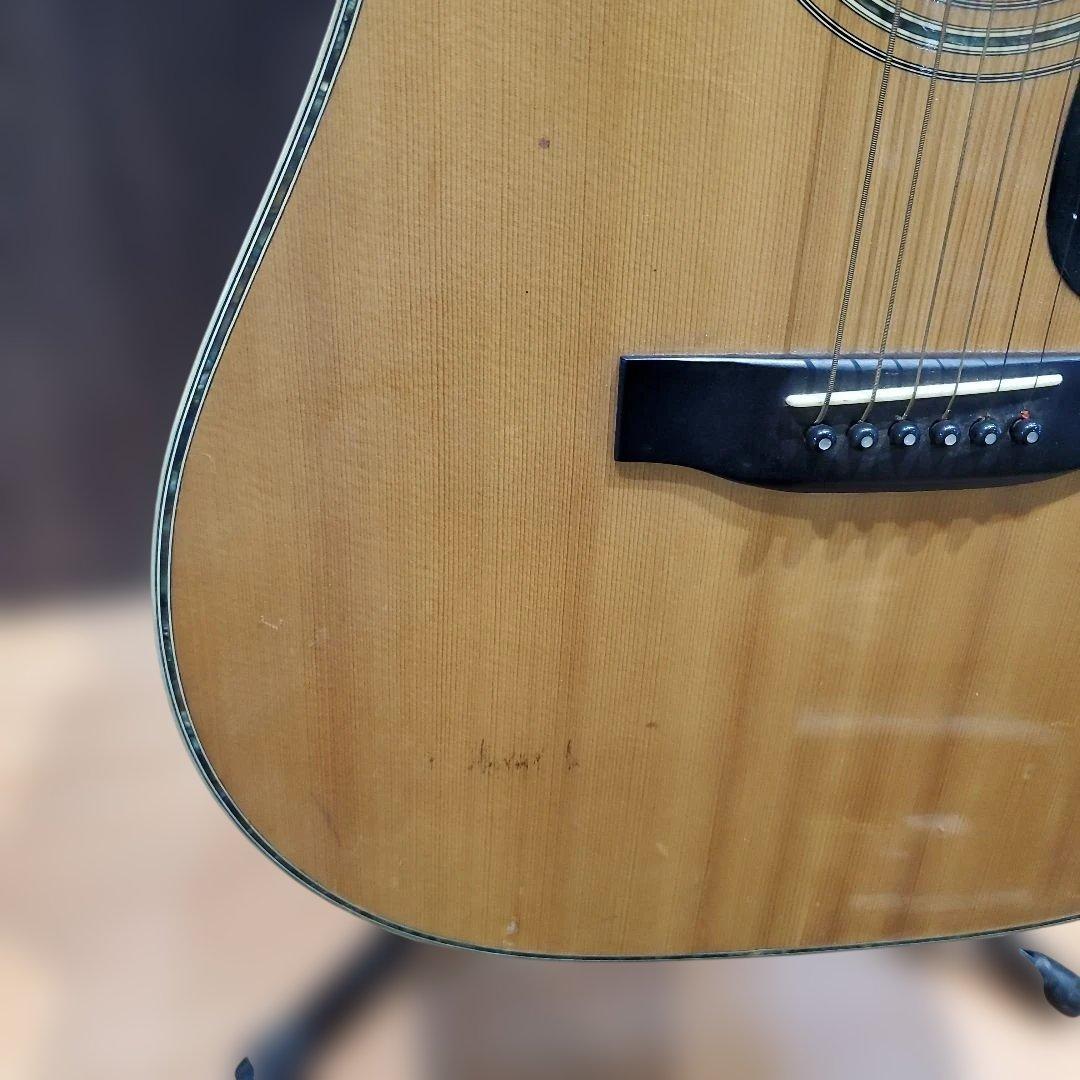 Morris W-40 アコースティックギター