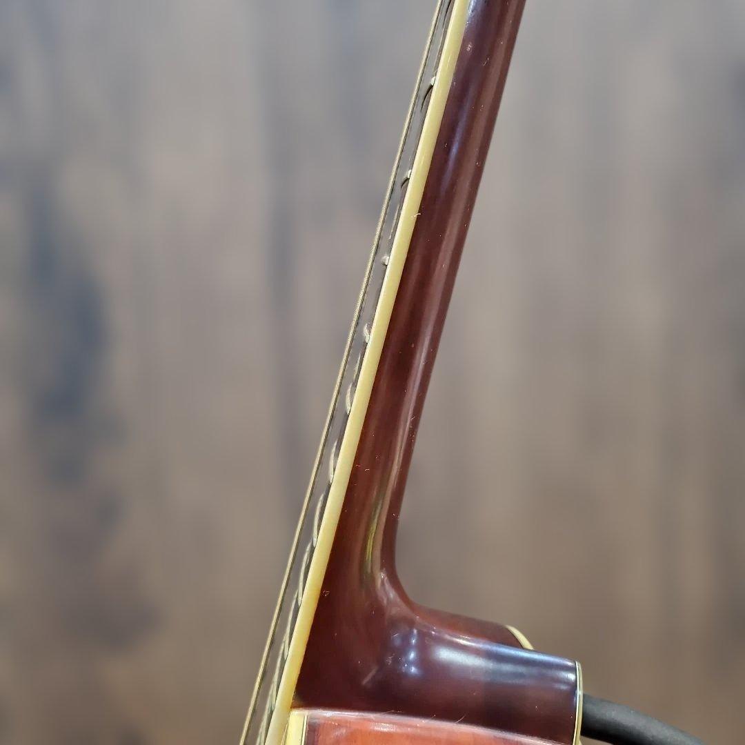 Morris W-40 アコースティックギター