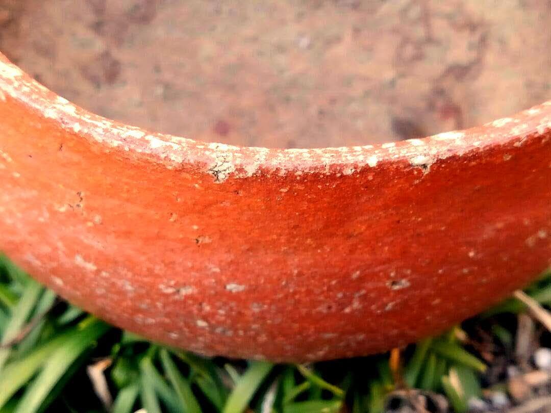 ♥大変に古い　信楽　茶碗　桐箱付き　骨董品