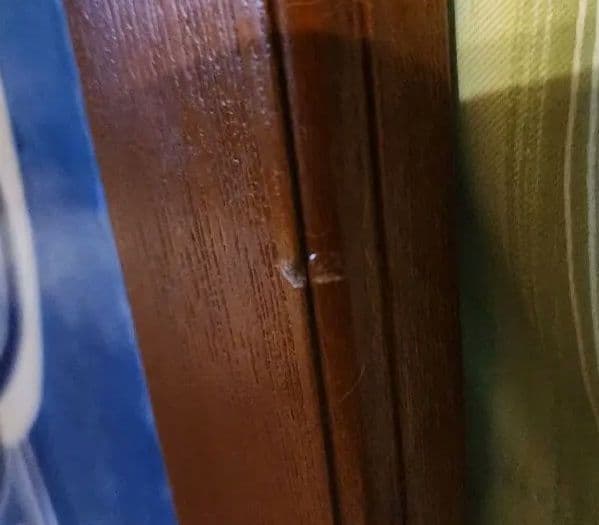 陶芸アート 鳥のデザイン