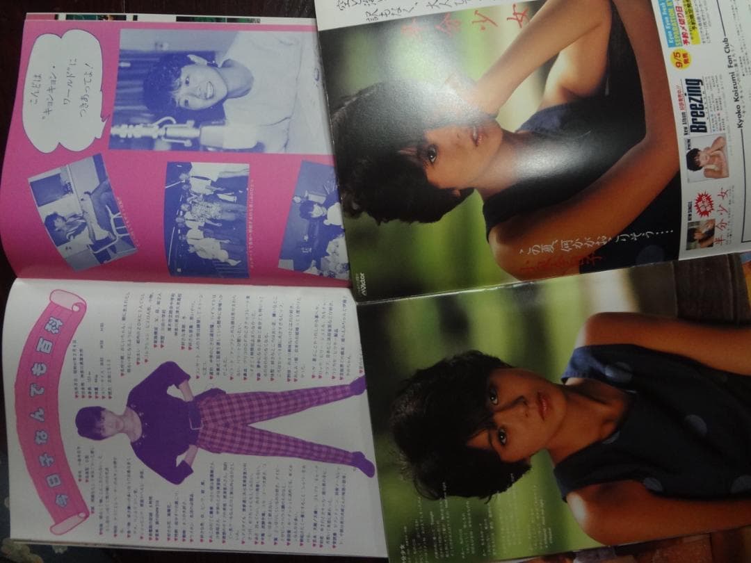 小泉今日子 82・83ライブパンフレット・生写真５枚・ポストカード・ポスター付