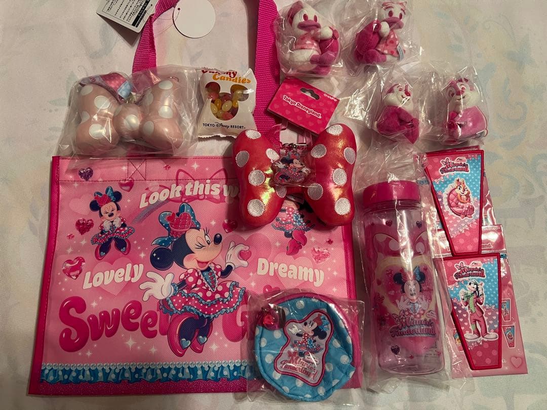 ミニーのファンダーランド　パルパルーザ