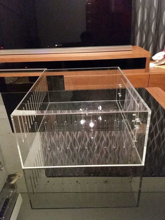 爬虫類ゲージ アクリルゲージ 【 No.2 】