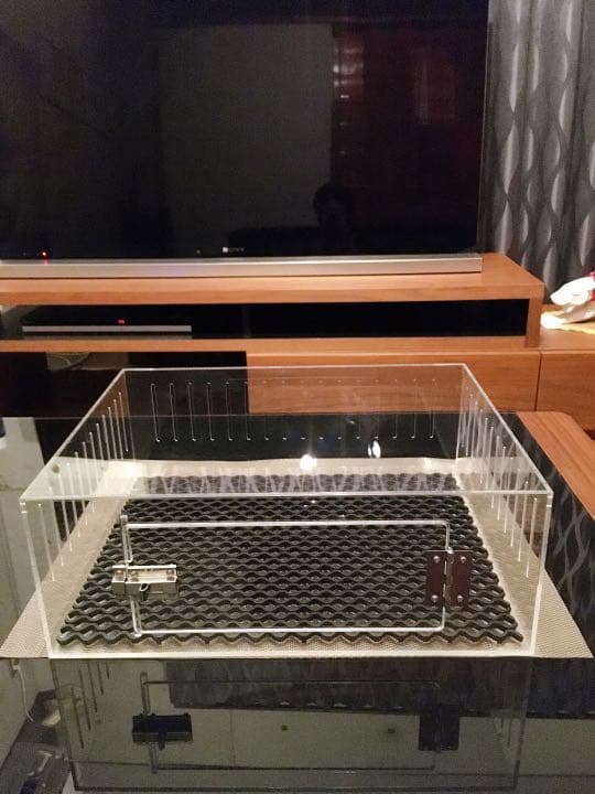 爬虫類ゲージ アクリルゲージ 【 No.2 】