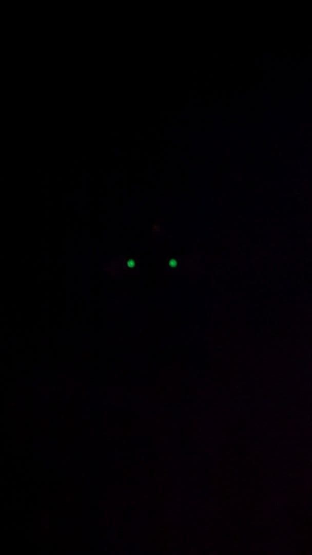 東京マルイ　G17カスタム フラットダークアース　おまけ付き