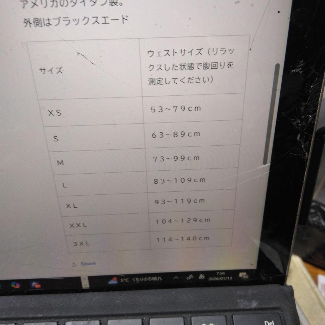 タイタン　5cm　ベンチ用ベルト　Mサイズ　73cm~99cm