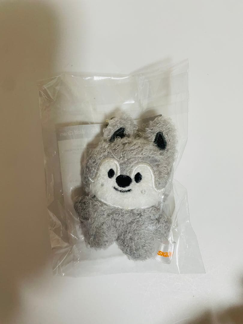 スキズ　skzoo ペンミ　ウルフチャン　10cm ぬい　アウトフィット