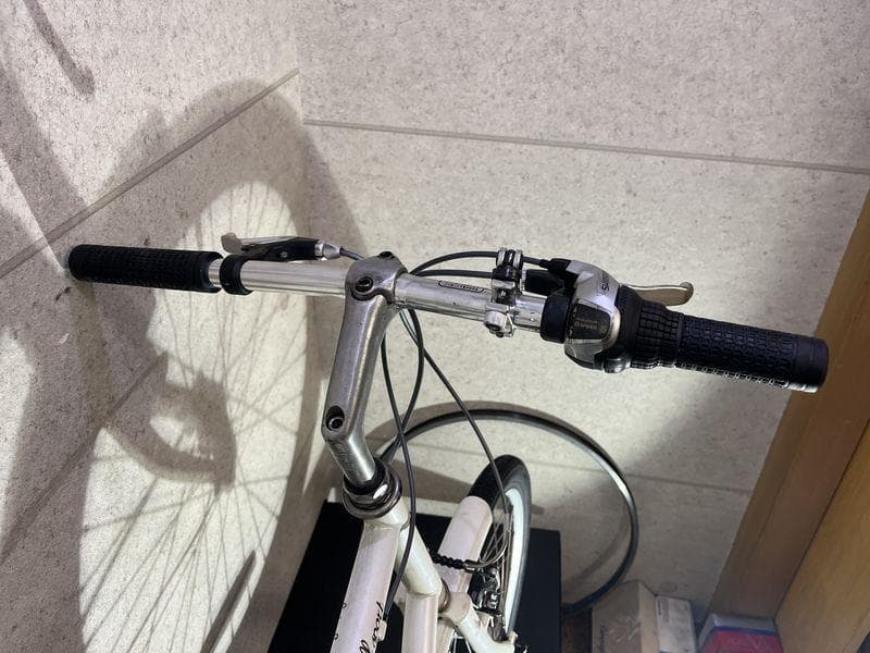 RALEIGH small sport 20インチ ラレー