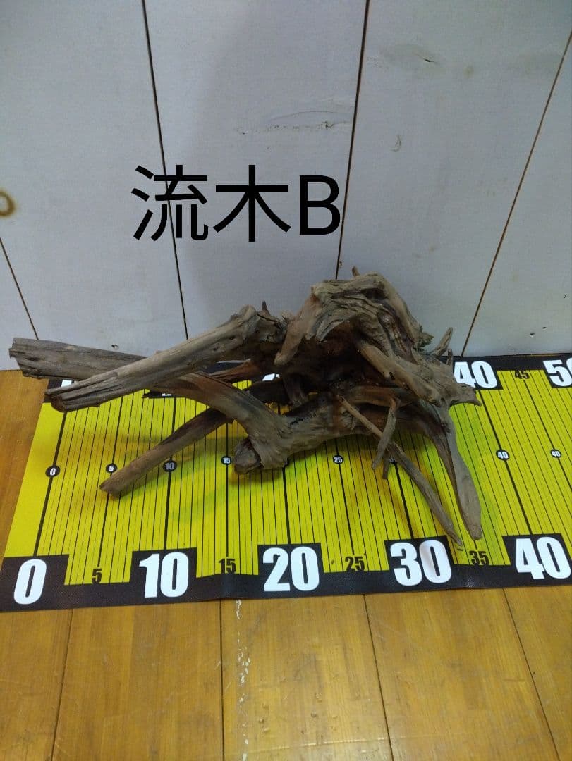 【送料無料、早い者勝ち】良型流木4点セット