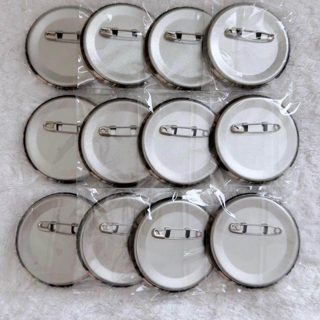 鬼滅の刃　ANIPLEX 中国限定　ホログラム缶バッジ　12点セット