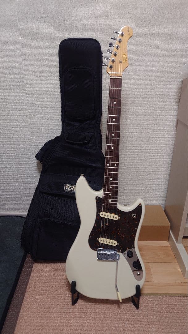 エレキギター FUJIGEN / NCCY-10R FGN サイクロン