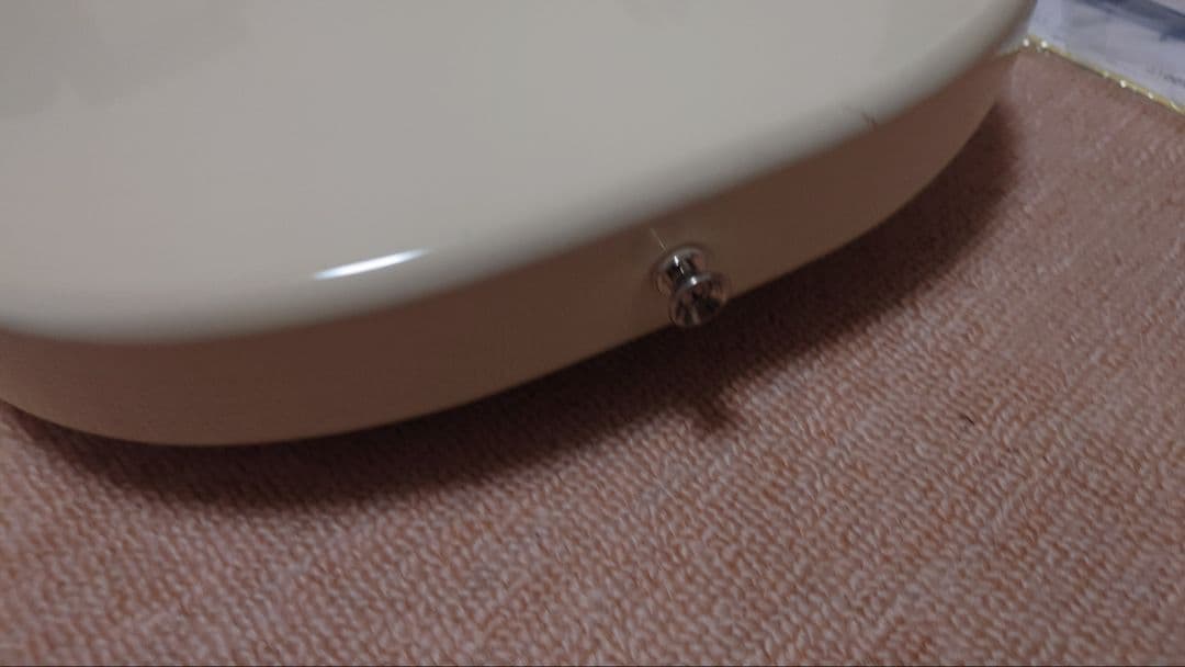 エレキギター FUJIGEN / NCCY-10R FGN サイクロン