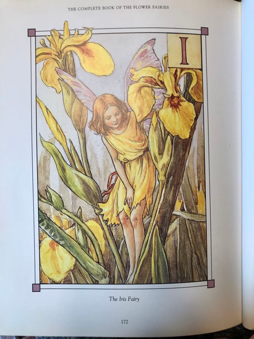 【貴重】flower Fairies画集　シシリー メアリー バーカー