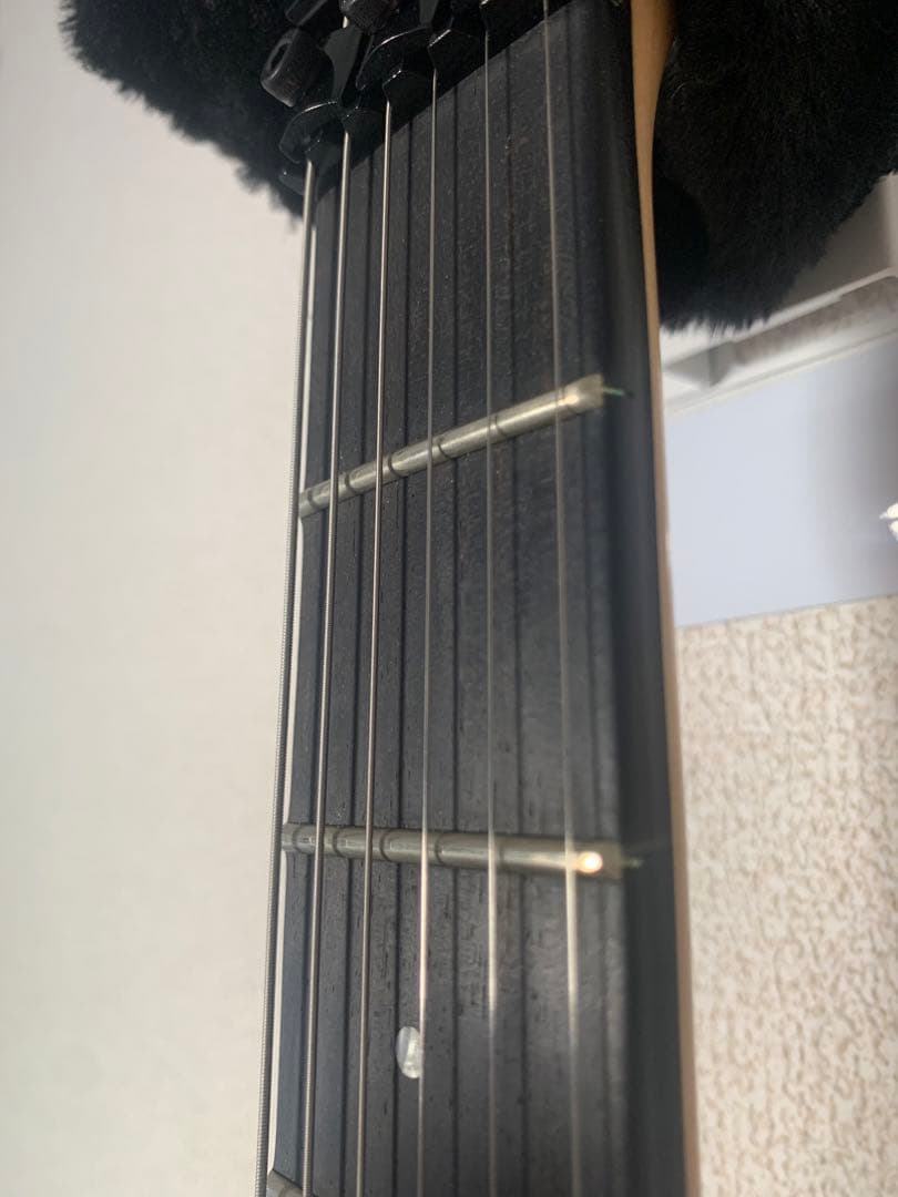 S*o様 EVH Wolfgang Special Stealth Black