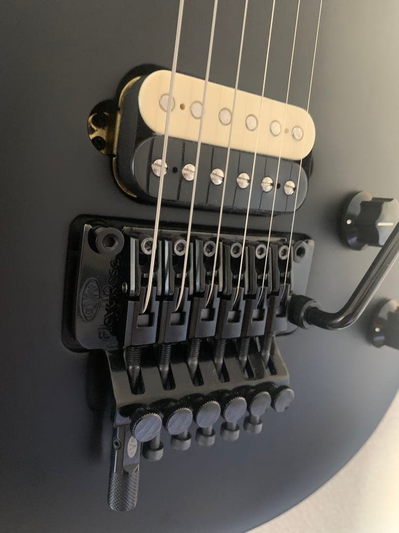 S*o様 EVH Wolfgang Special Stealth Black