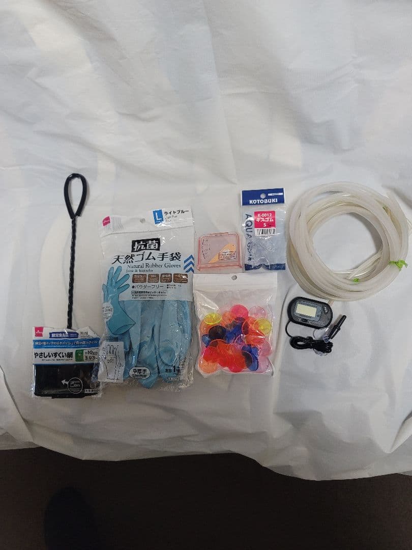 KOTOBUKI Progre 曲げガラス水槽60