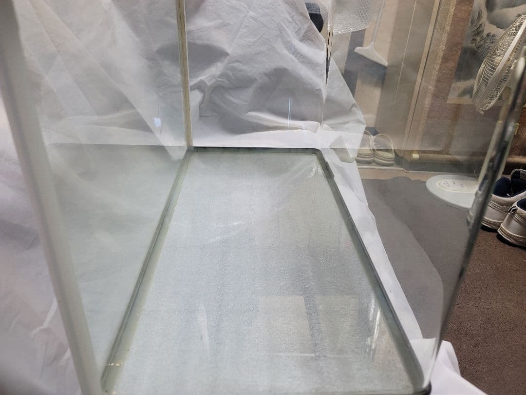 KOTOBUKI Progre 曲げガラス水槽60