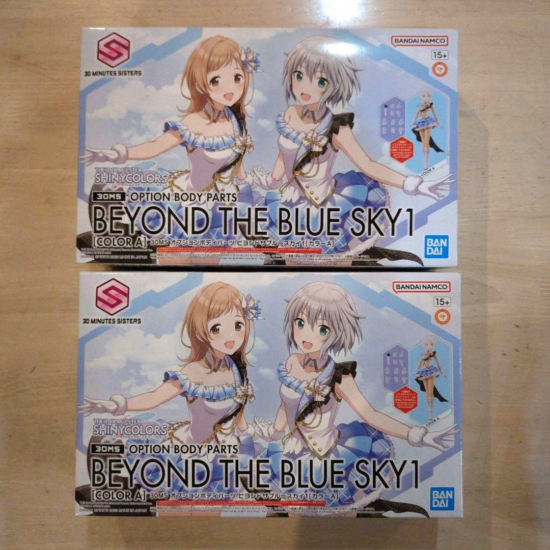 30MS 園田智代子/社野凜世く ビヨンドザブルースカイ オールインワンセット