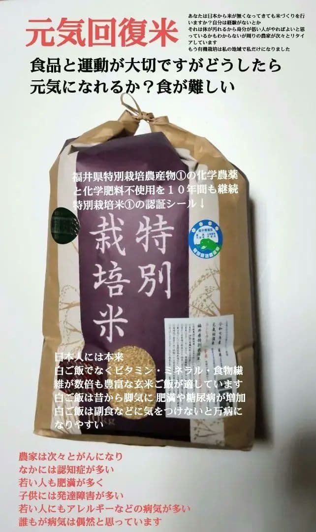 美味しく元気になれる米 ７年産コシヒカリ玄米10kg 特別栽培①化学農薬不使用