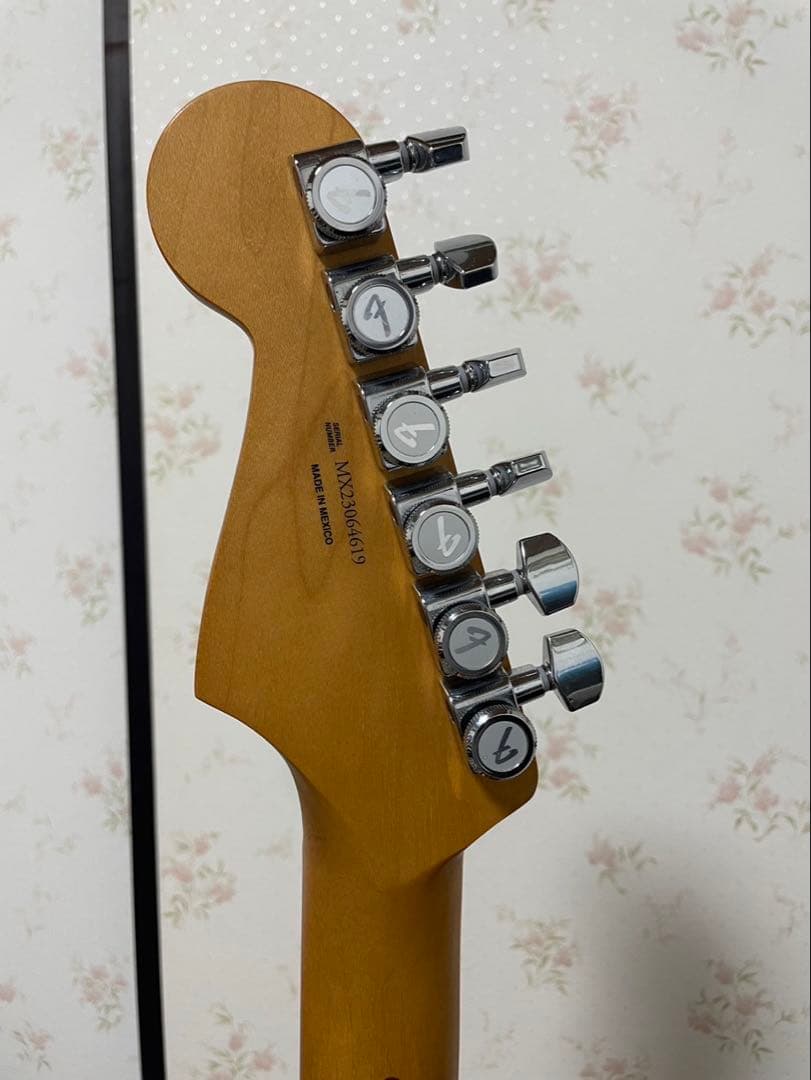 ギター Fender Player Plus Stratocaster