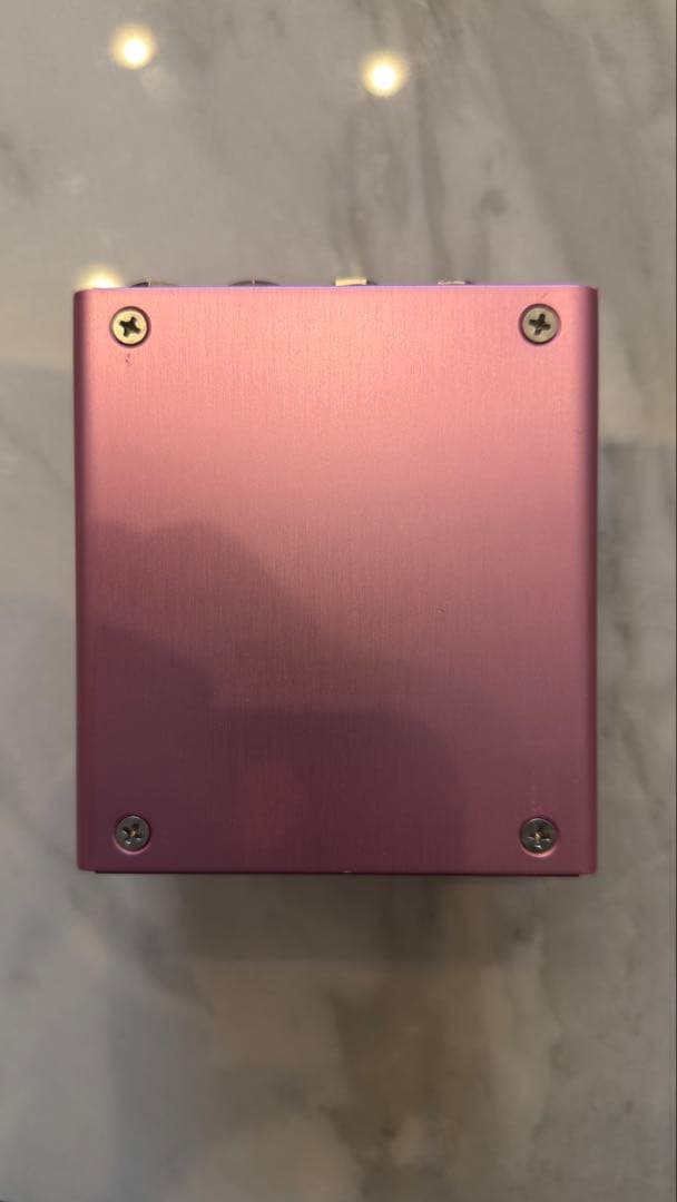 【特価】Strymon DIG v1