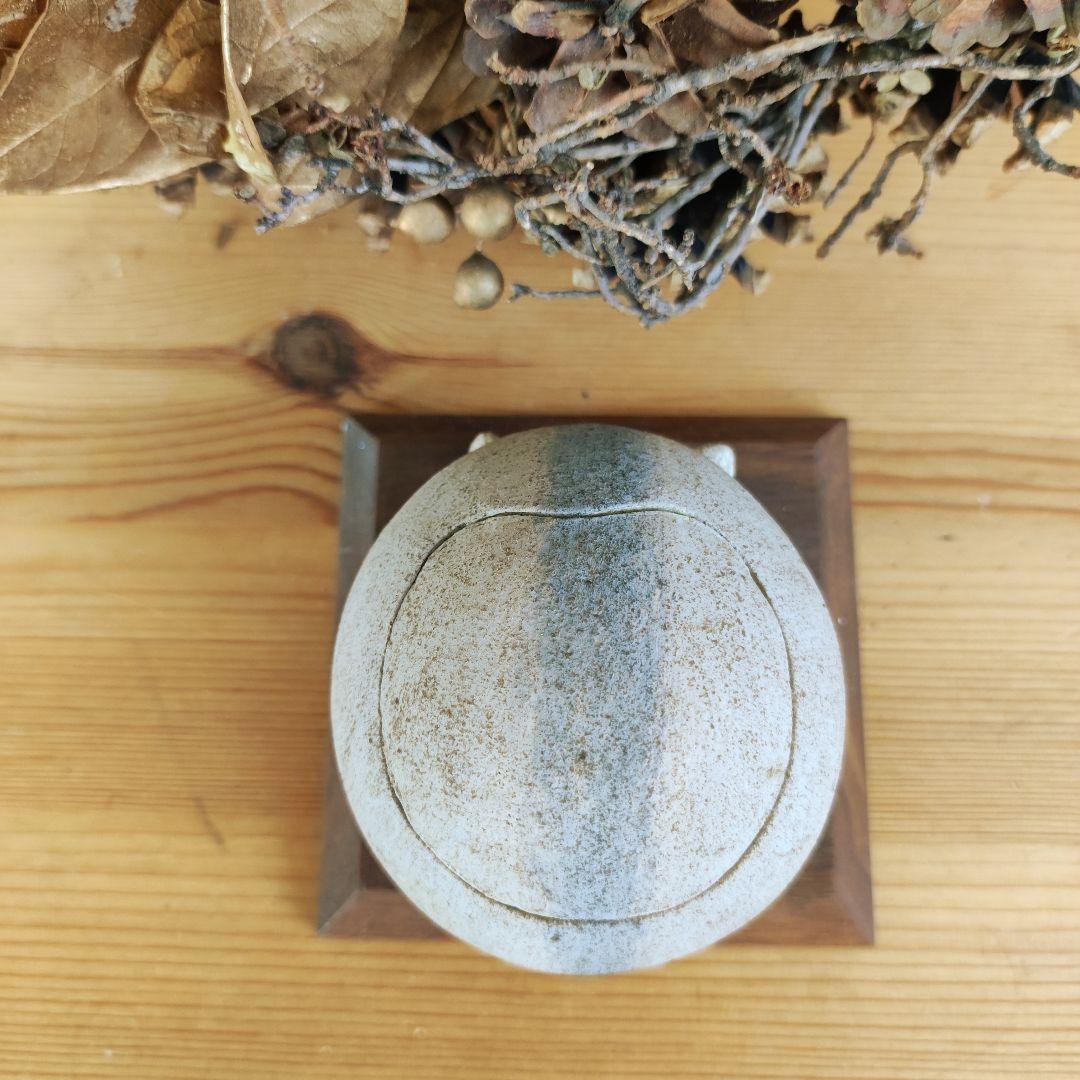 撫でてあげられるハムスターおこつぼ