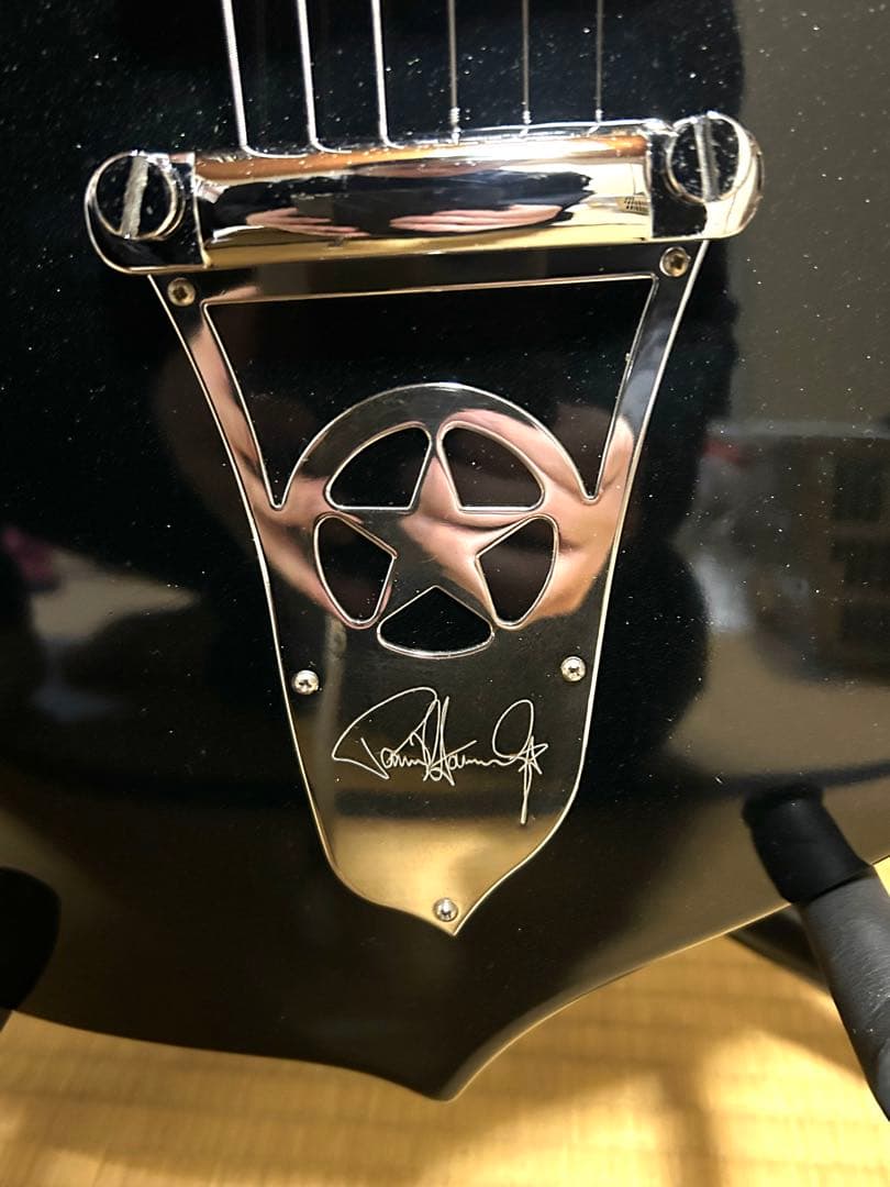 ポール・スタンレーモデル SILVERTONE PSSN-1