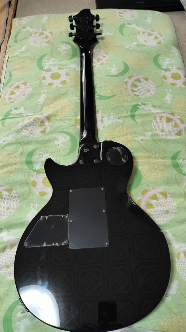 GrassRoots SUGIZO モデル  【改造あり】