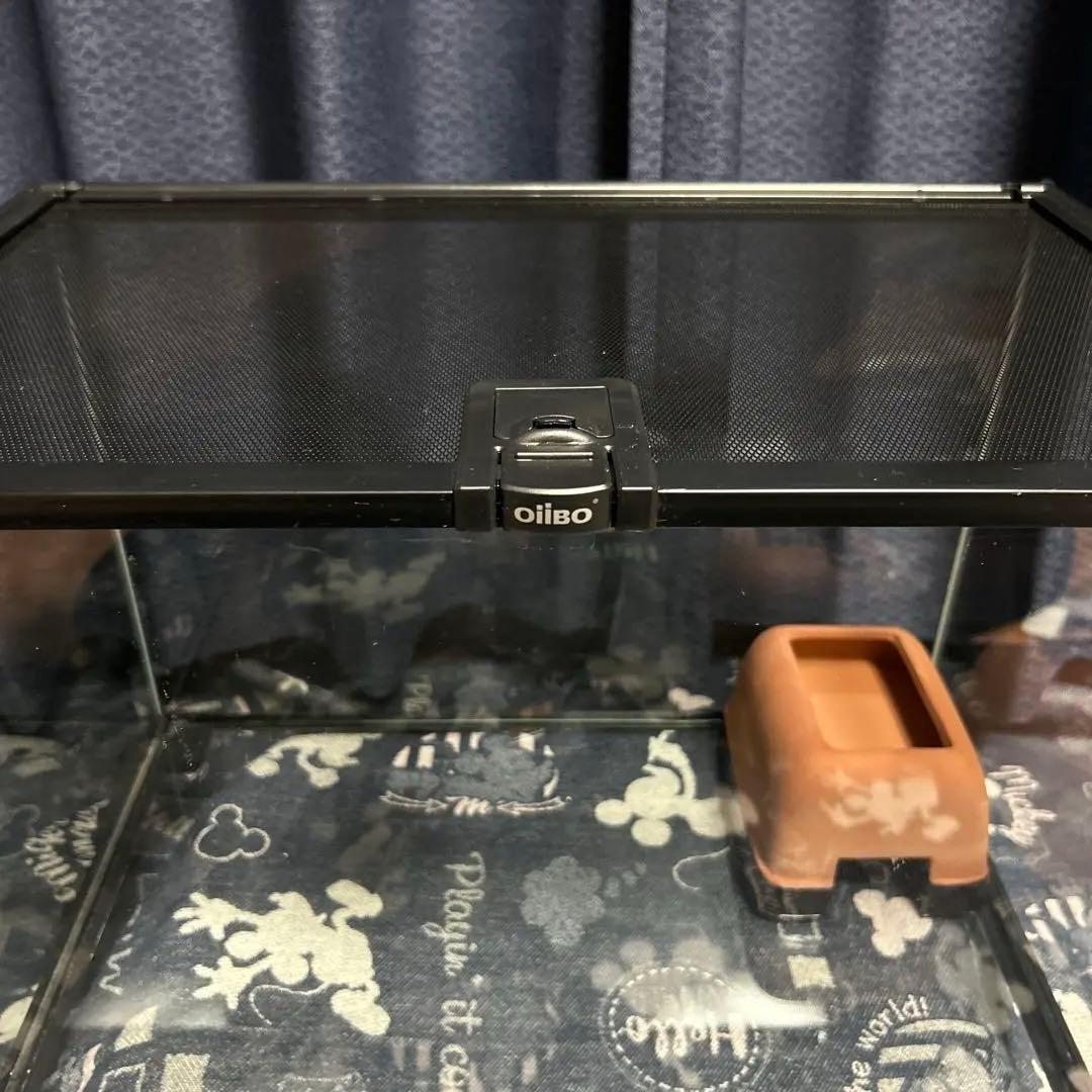 割引7600円★爬虫類３点セット！爬虫類ケージ&シェルターL&レプタイルカップS