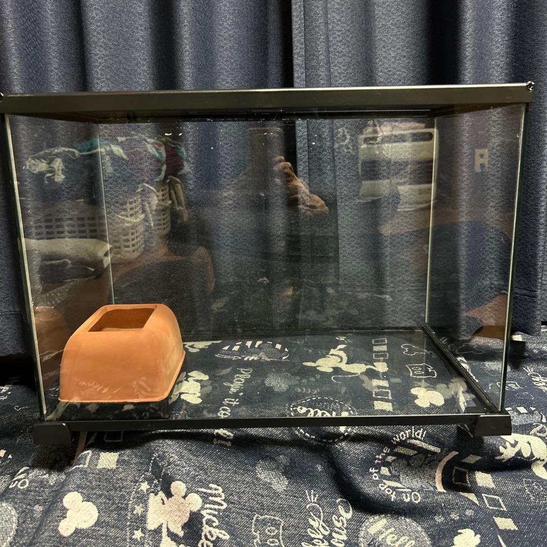 割引7600円★爬虫類３点セット！爬虫類ケージ&シェルターL&レプタイルカップS