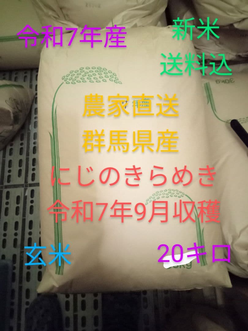 R7年産 新米 群馬県産 にじのきらめき 20キロ 玄米 送料込 20kg ②