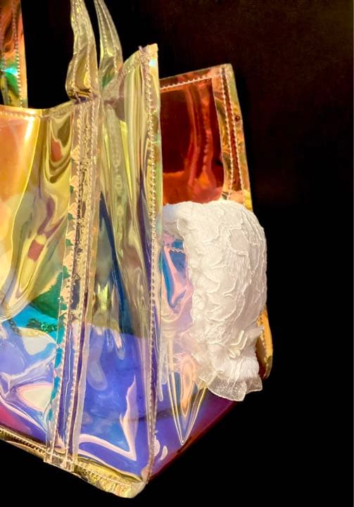 【未使用】フォーペッツオンリー トッポミオ クリスタルキャリー