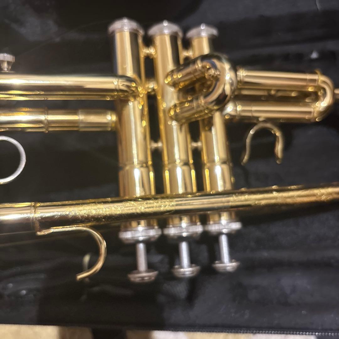 uoouwe トランペット マウスピース付き　専用ケース