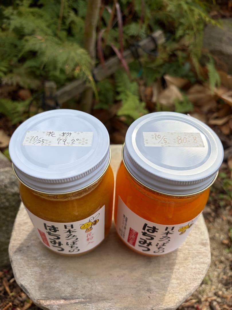 ハチミツ　日本蜜蜂のはちみつ　奥山の奥の蜂蜜結晶化進行中と花粉入り蜂蜜結晶化