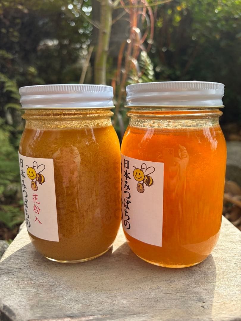 ハチミツ　日本蜜蜂のはちみつ　奥山の奥の蜂蜜結晶化進行中と花粉入り蜂蜜結晶化