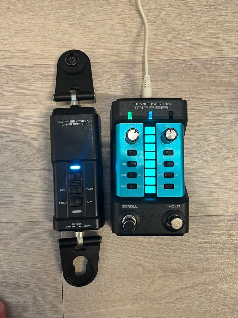 ギター CASIO DIMENSION TRIPPER