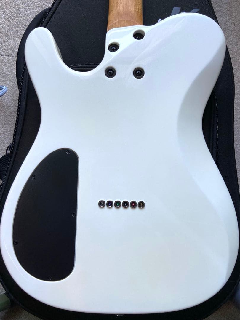 Kiesel Solo テレキャスタイプ ドロップチューニング