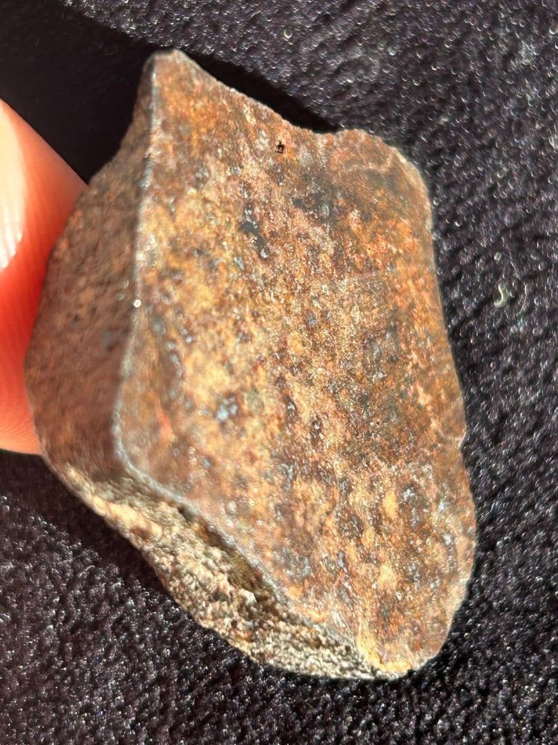 コンドライト隕石L5-6 鑑別書付き モロッコ産