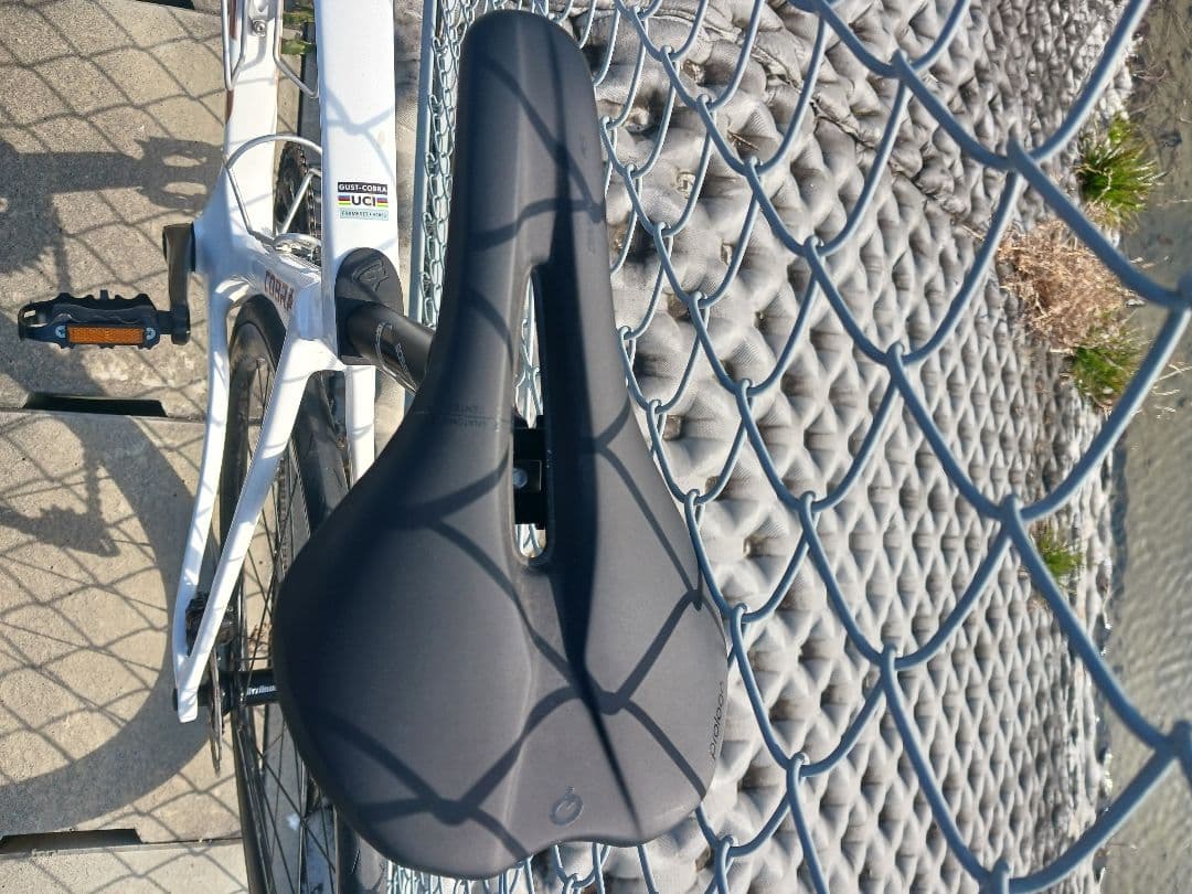 GUSTO COBRA EVO ELITE☆状態良好☆