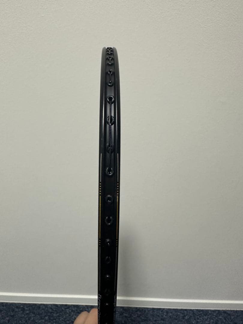 リーニン　WindStorm 79-H