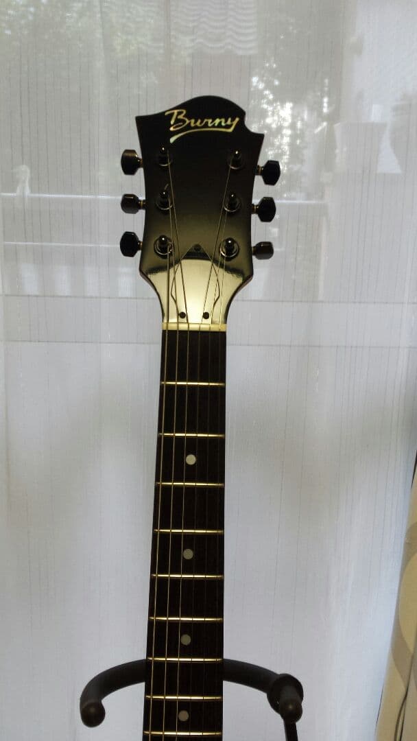 BOSS GT-1 マルチエフェクター  フェルナンデス バーニー エレキギター