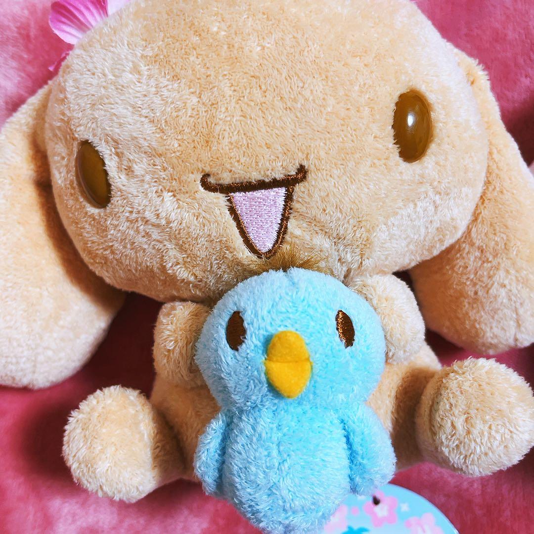 希少レア　シナモロール　モカ　サマードール　ぬいぐるみ　2005 サンリオ